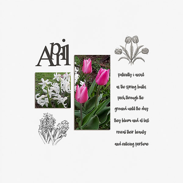 SpringBulbs