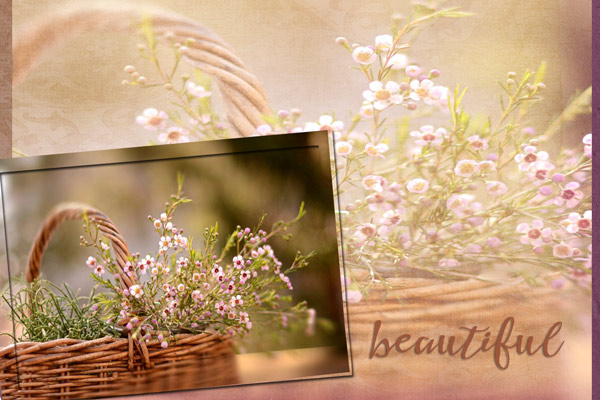 Springcard