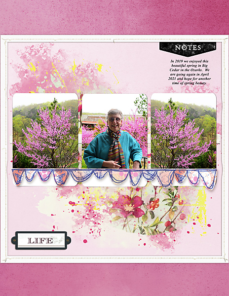 Springtime_BigCedar_flowersgal_webjpg