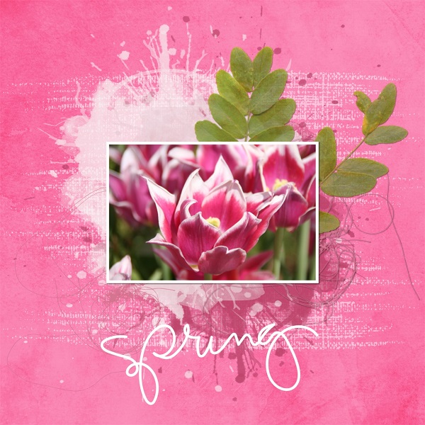 SpringTulips