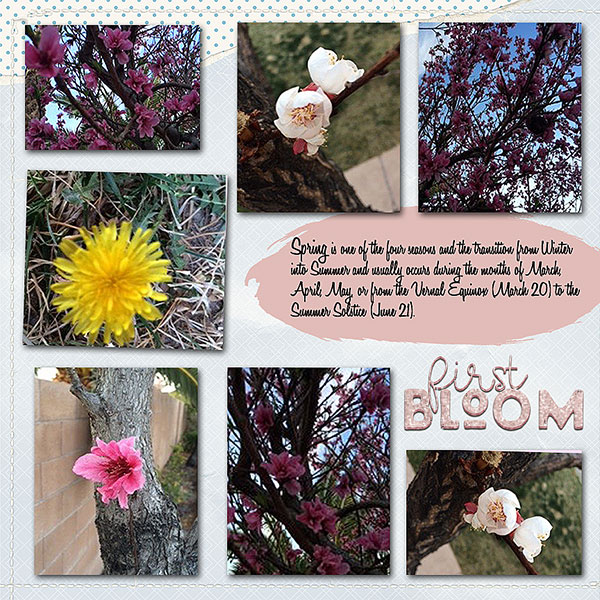 SpringWeb