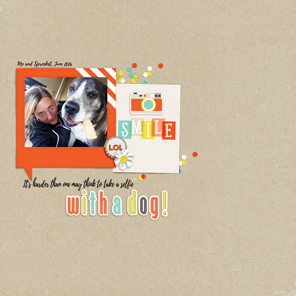 Sprocket