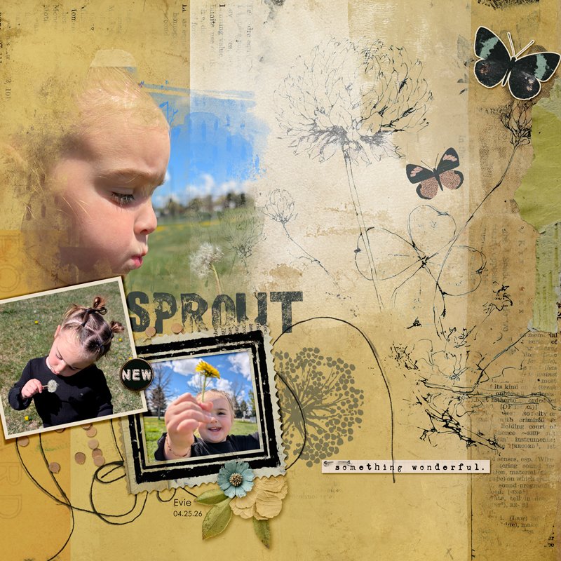 sprout
