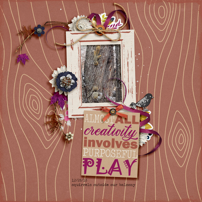 Squirrel Play