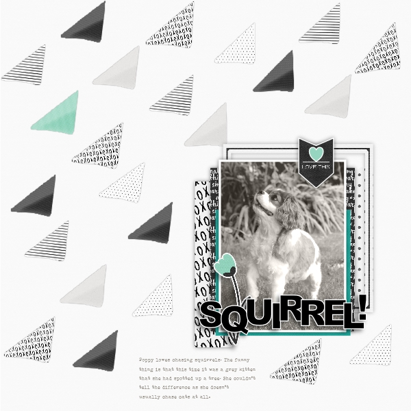 Squirrel