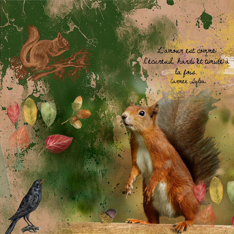 Squirrel