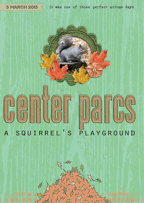 Squirrel's Playground