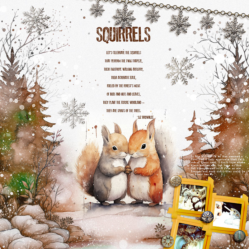 Squirrels