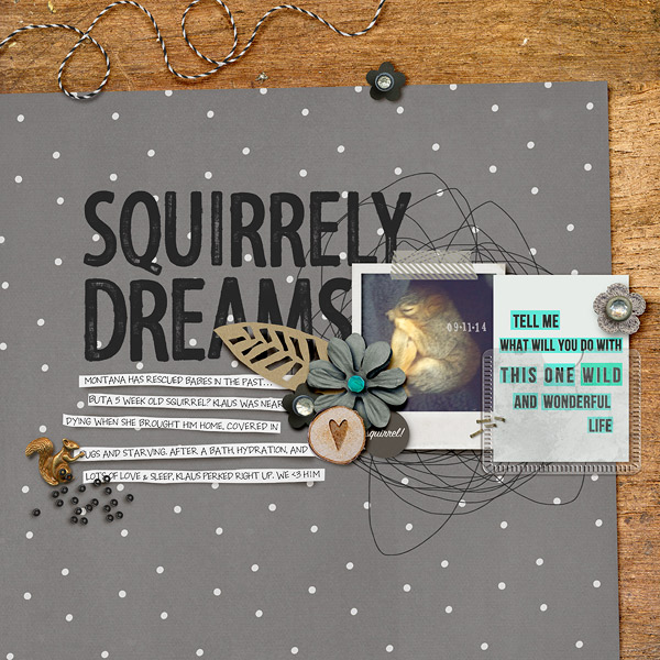 Squirrely Dreams