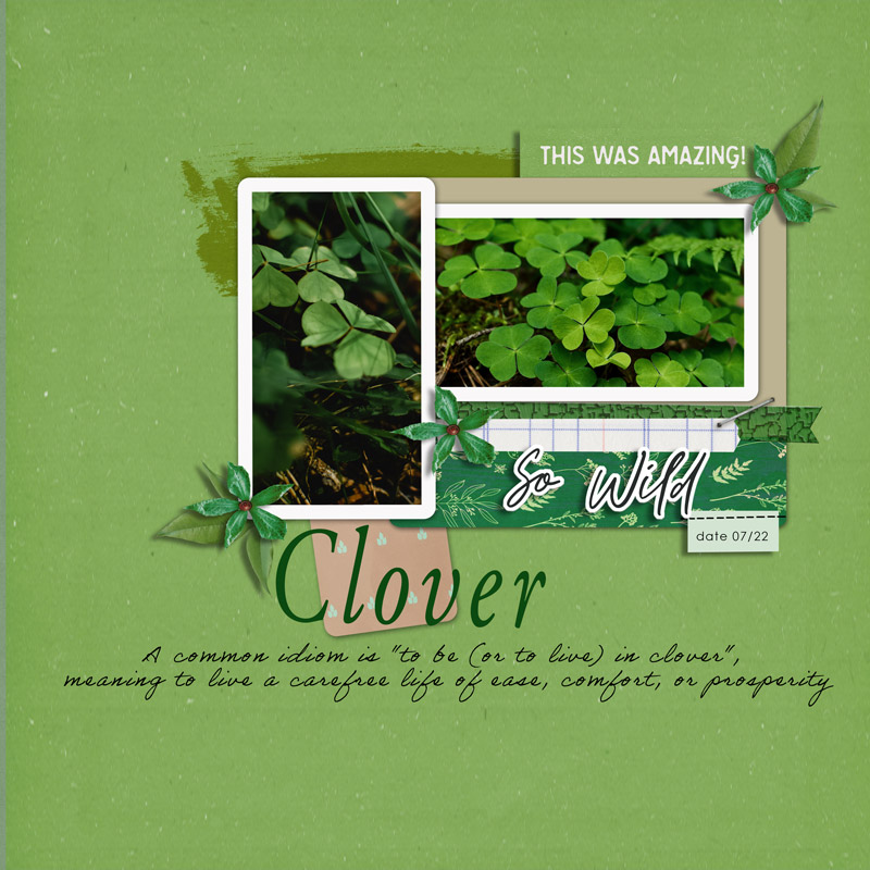 Ss103_clover
