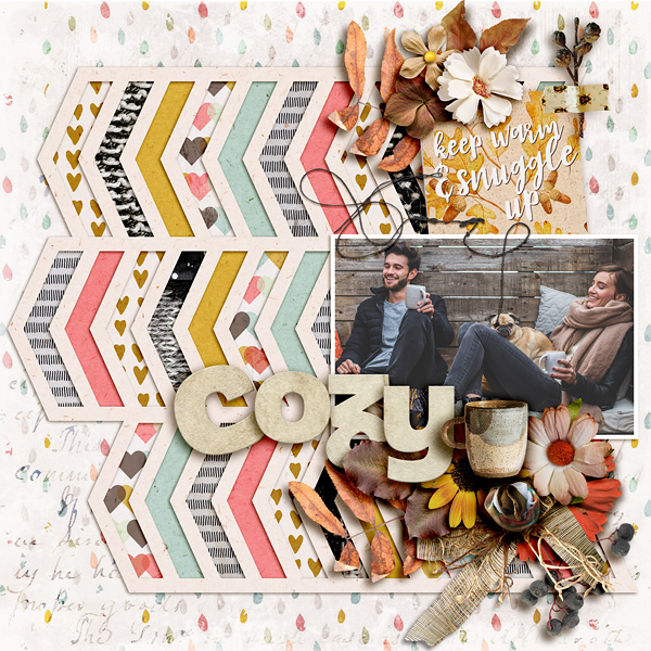 SS_10-2_LBW_SwL_Cozy
