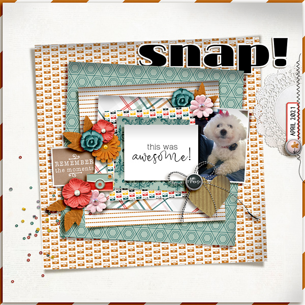 SS_5-1_Soco_SC_FDD_Snap!