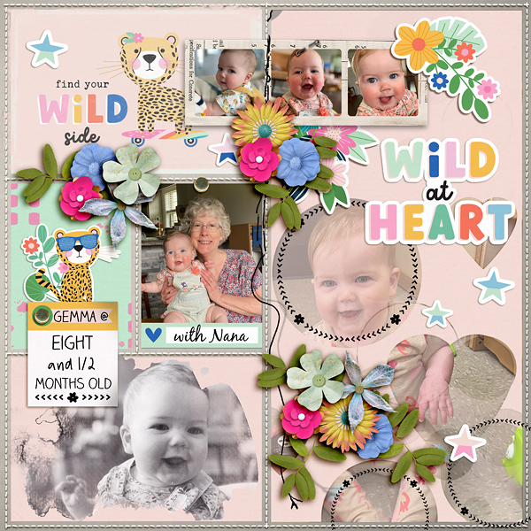 SS_may7_BB_NBK_Wild At Heart