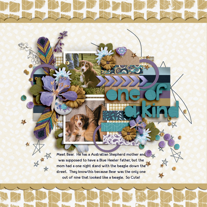 SS_may7_Soco_BB_One Of A Kind
