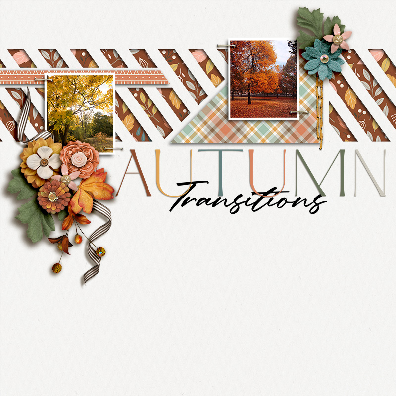 SS_oct5_Soco-BB-SG_JJD_Autumn Transitions