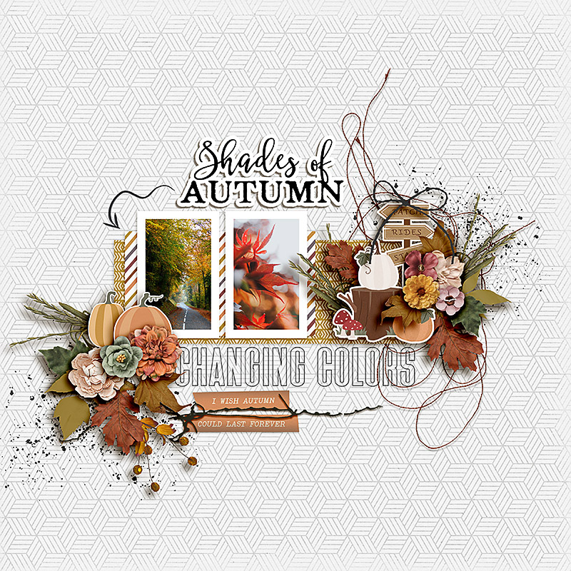 SS_oct7_Soco_AD_Shades Of Autumn