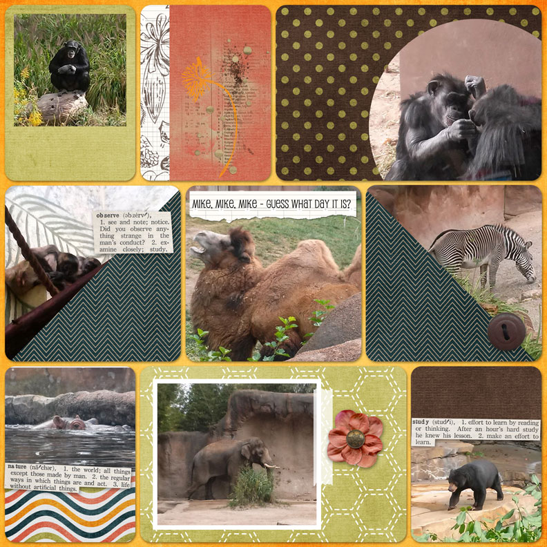 St. Louis Zoo