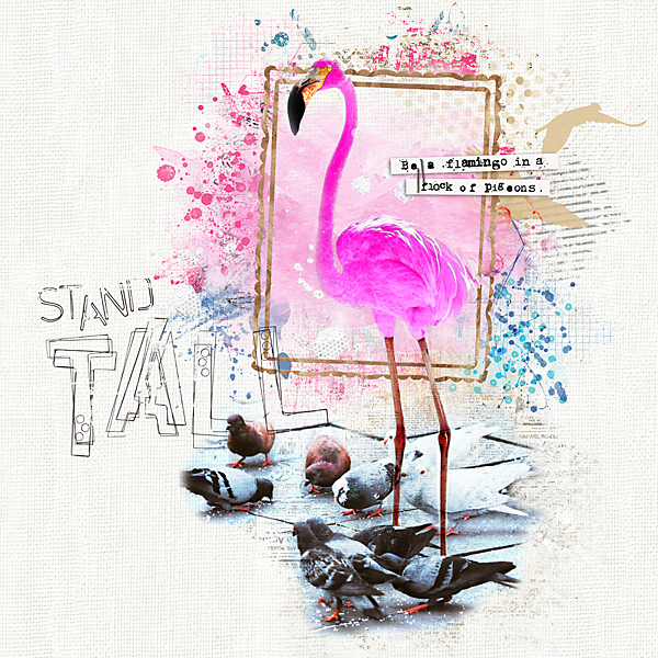 Stand Tall: NBK Design's Advanced Challenge [February]
