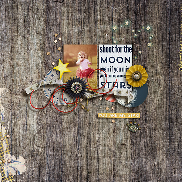 Stargazer