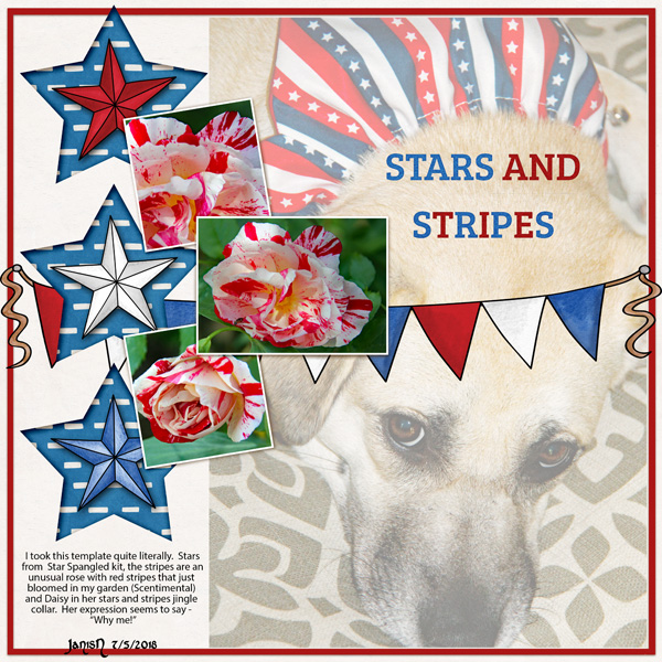 Stars and Stripes - July Challenge