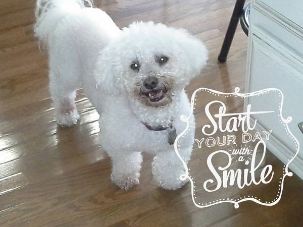 Start Day with Smile