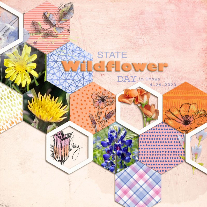 State Wildflower Day 02