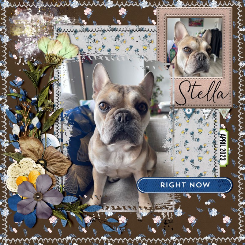 Stella Right Now