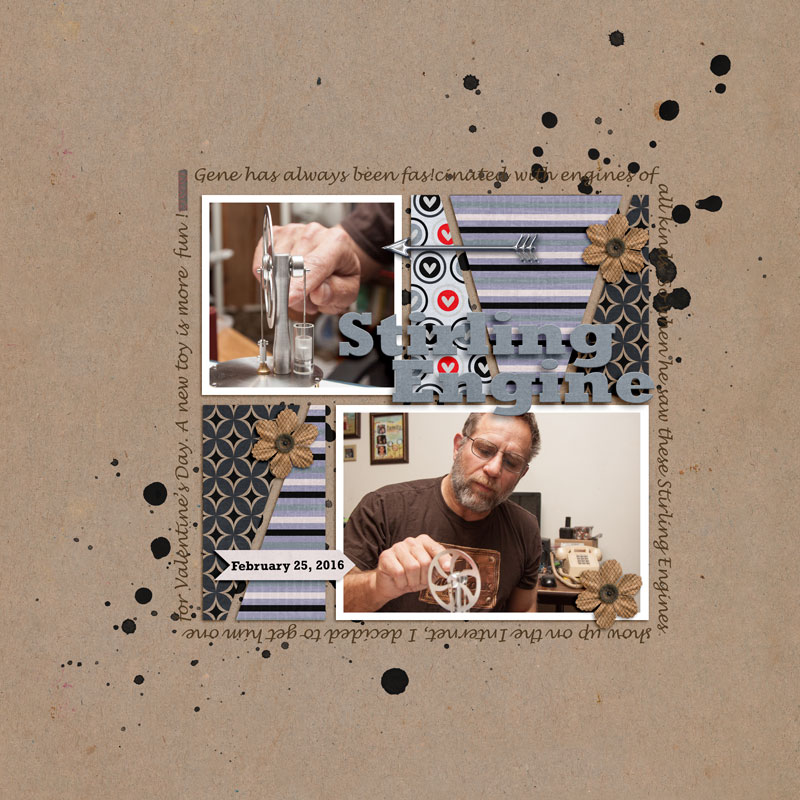 Stirling Engine