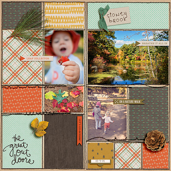 Stoneybrook Fall 2014