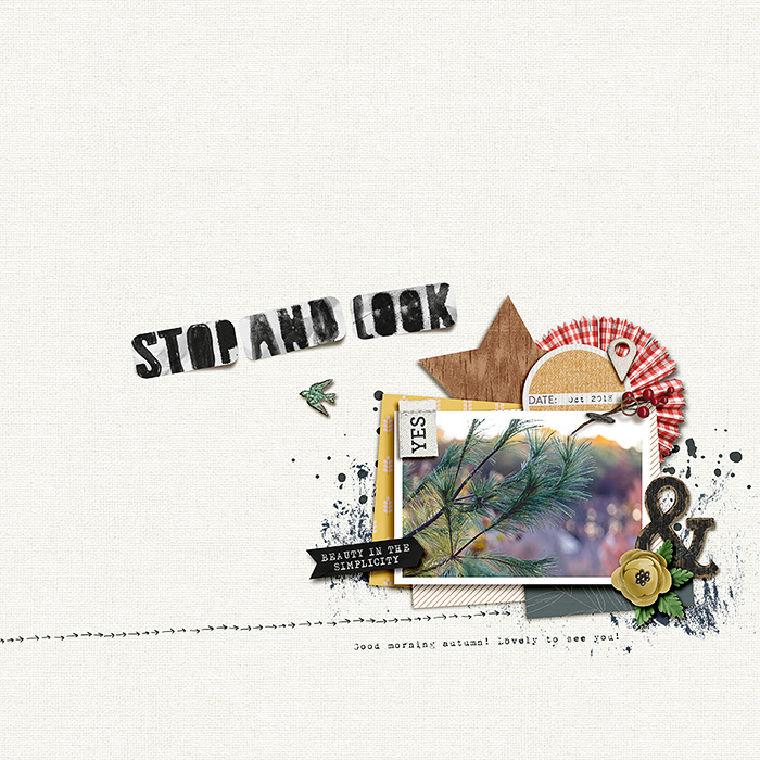 stop and look
