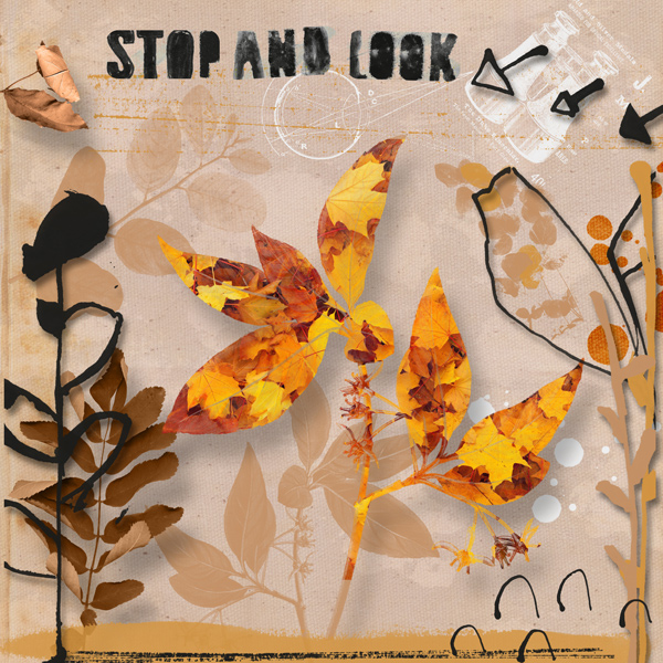 Stop and Look