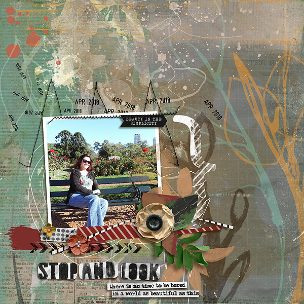 Stop and look