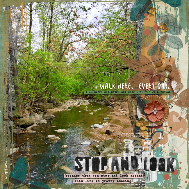 Stop And Look