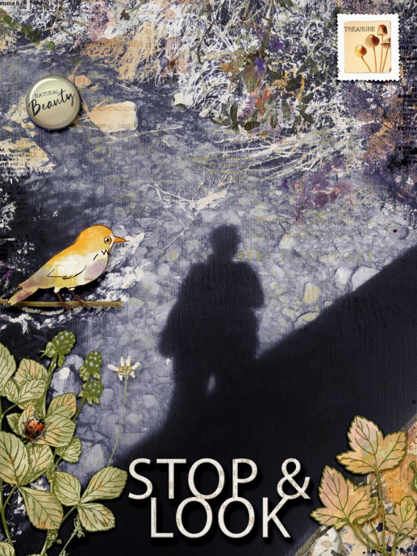 Stop and look