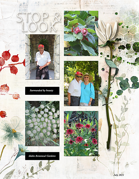 Stop-and-Look_flowersgal_web