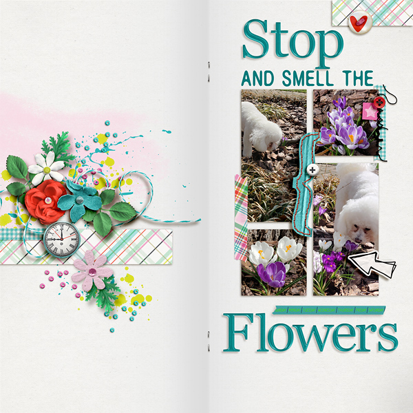 Stop And Smell The Flowers