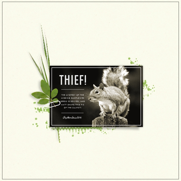 Stop Thief!