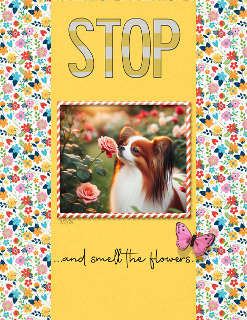 Stop