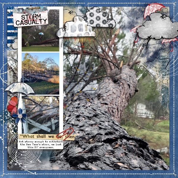 Storm Casualty
