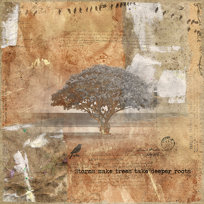 Storms make trees take deeper roots