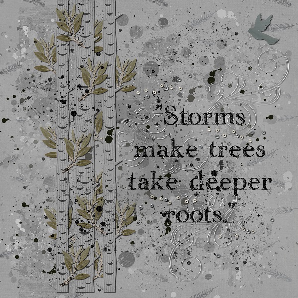 Storms
