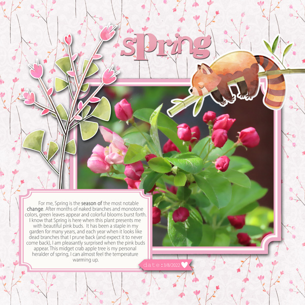 Storyteller Slow Scrap_spring Seasonofchange