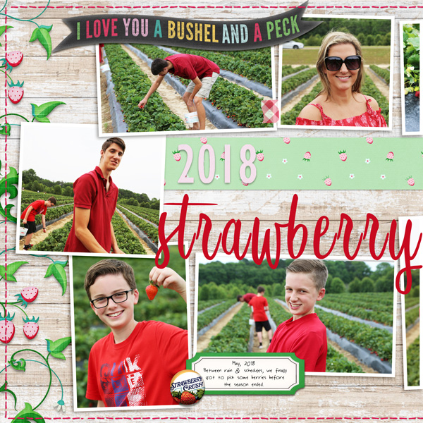 Strawberries 2018 (left side)