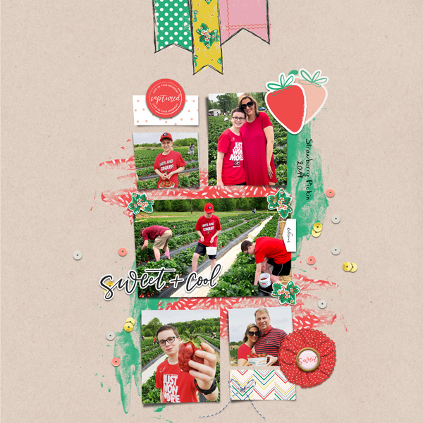 Strawberries 2019
