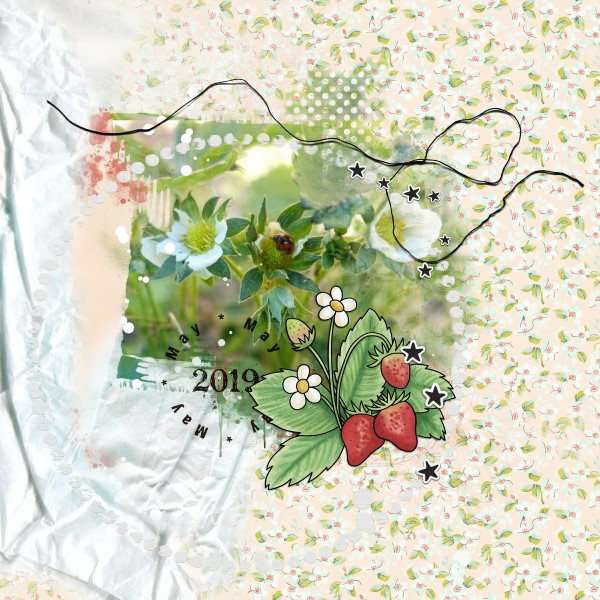 Strawberries in Flower