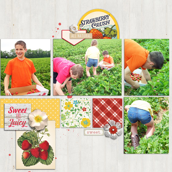Strawberry farm: left