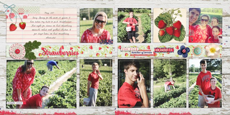 Strawberry Pickin 2017