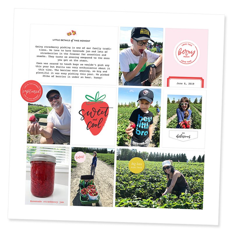 strawberry picking