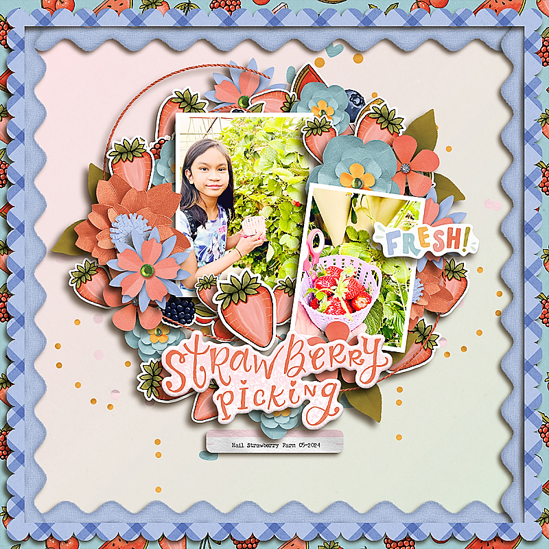 Strawberry Picking