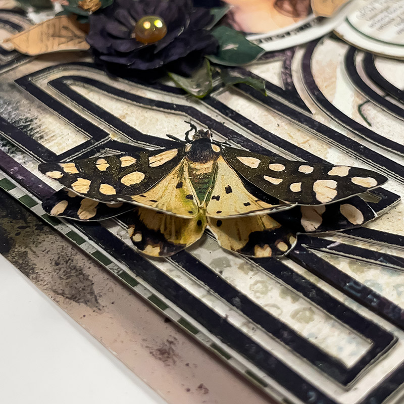 Strong (close up embossed butterfly)